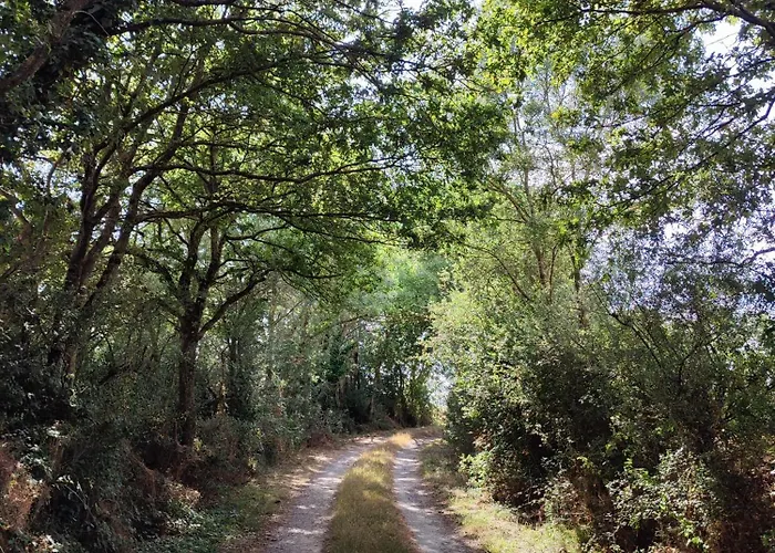 La Paquerie * Le Louroux-Béconnais